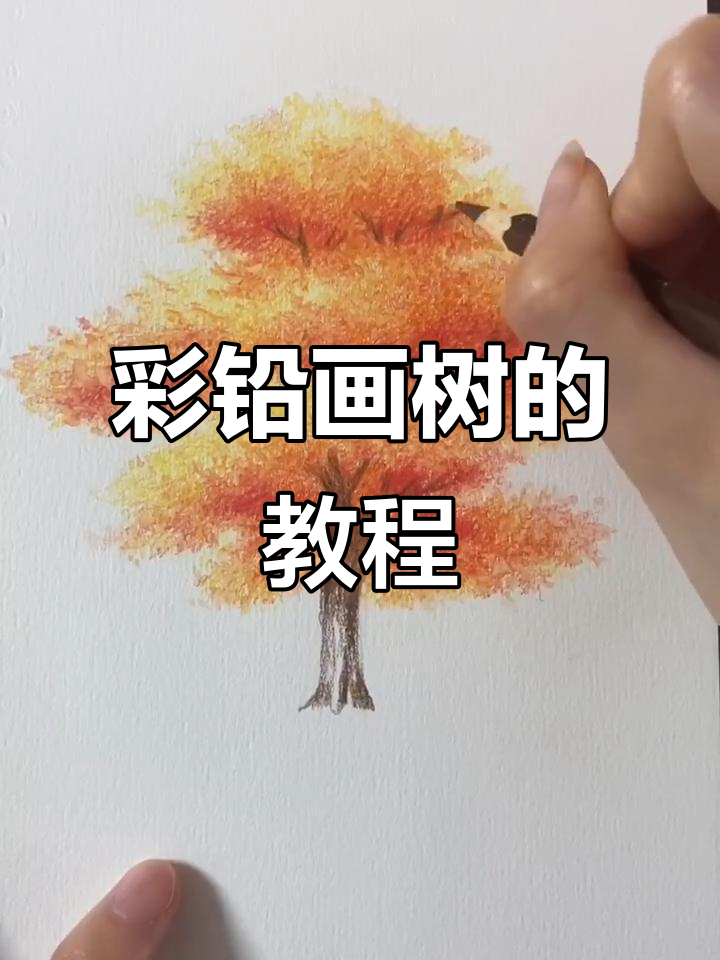 零基础彩铅画树,简单步骤教你轻松上手
