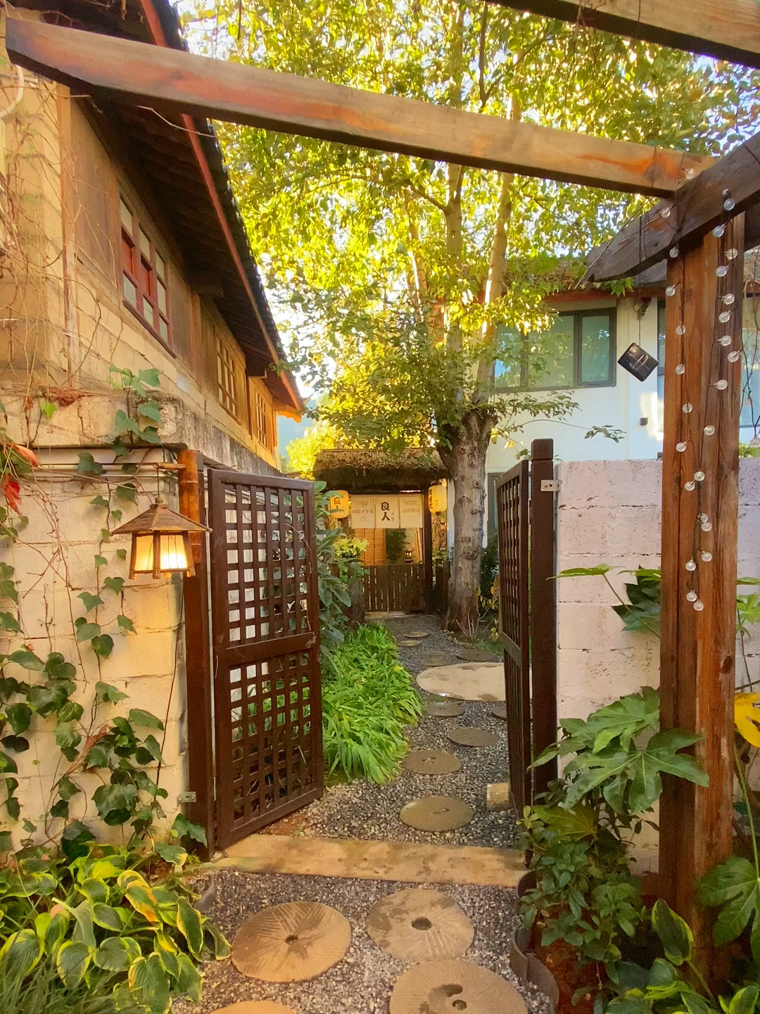 丽江的有风小院,鹿仙堡花园民宿客栈咖啡馆