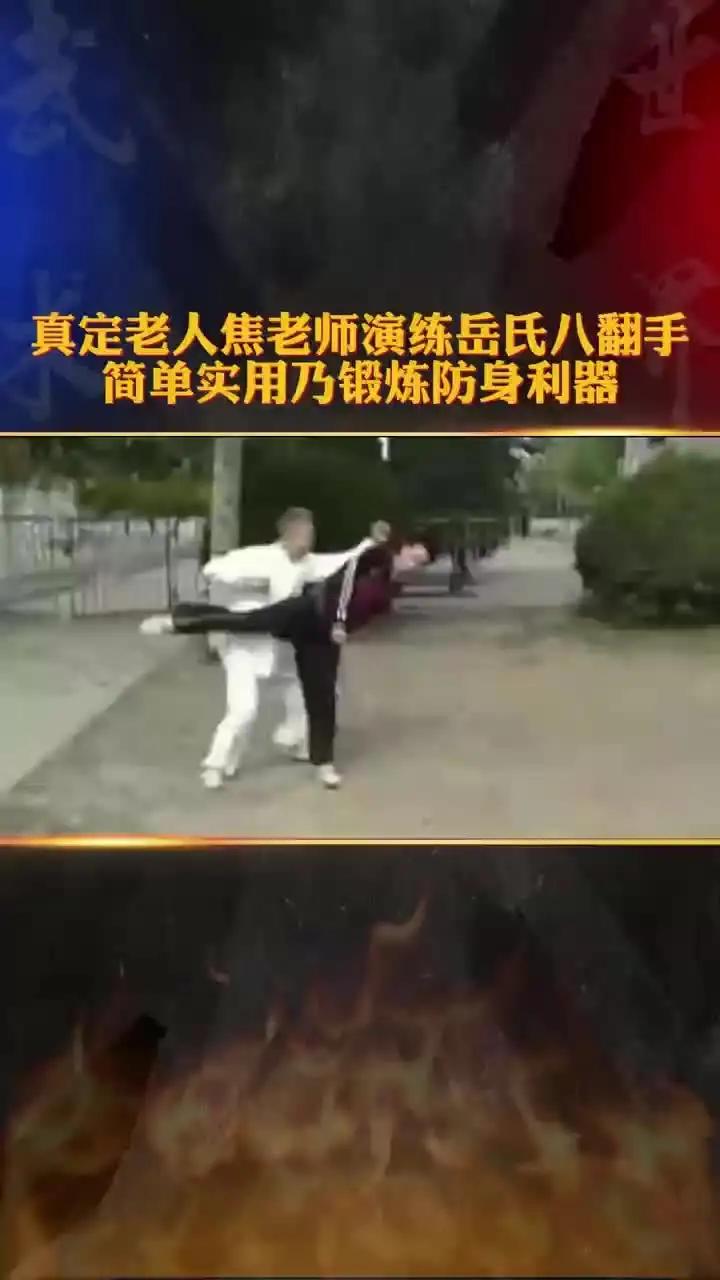 真定老人焦老师演练岳氏八翻手 简单实用乃锻炼防身利器 功夫 武术