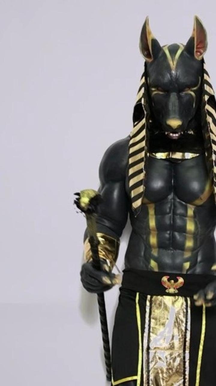 狗子与狗子之间的较量,阿努比斯狗神降临!