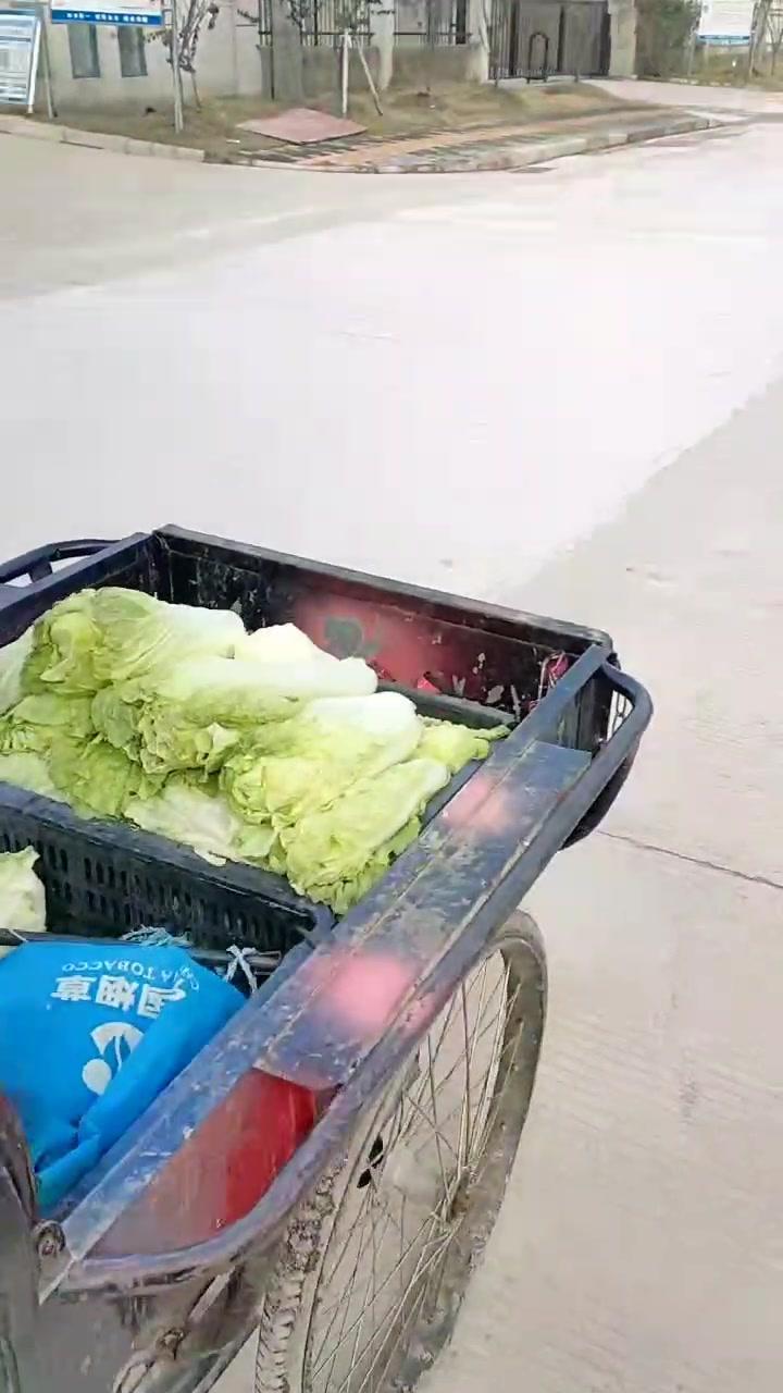 一位八十四岁老奶奶还在骑三轮车卖菜,我们还有什么理由不努力而躺平!