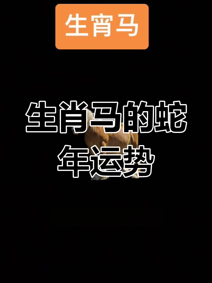 2025生肖属马运势大全(属马2025年全年运势和运程)