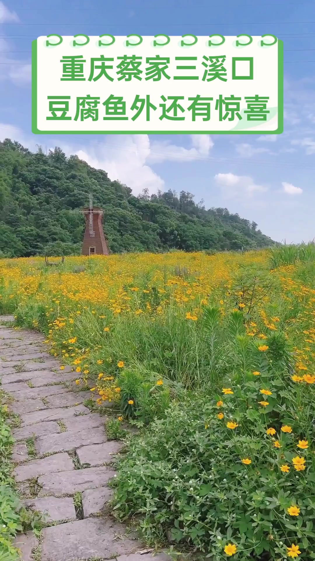 重庆蔡家三溪口,豆腐鱼外还有惊喜