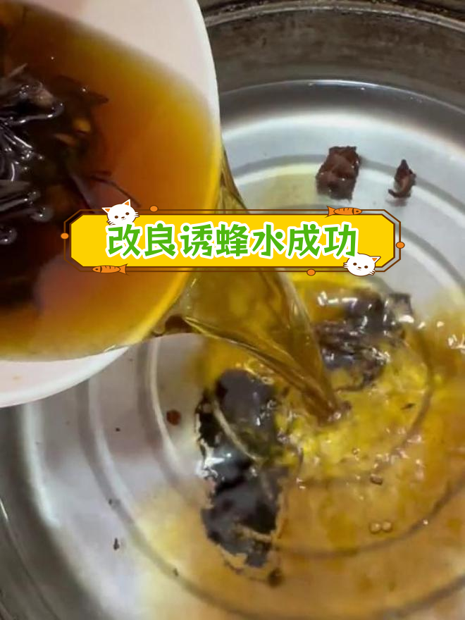 金环胡蜂诱蜂水制作图片