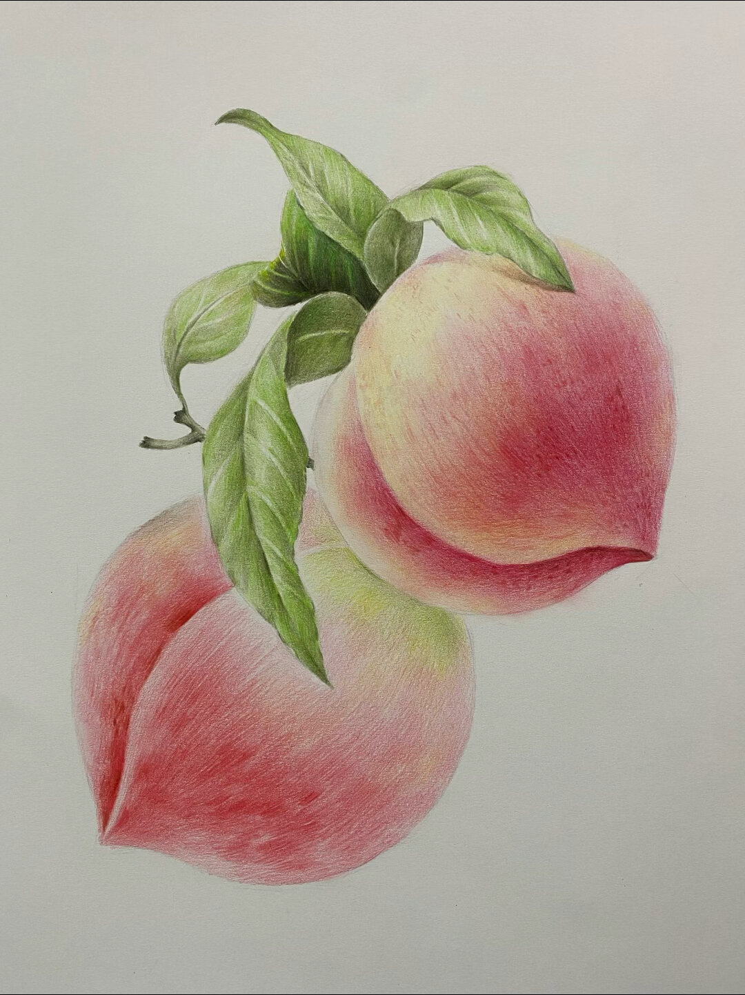 彩铅小画《福寿桃》