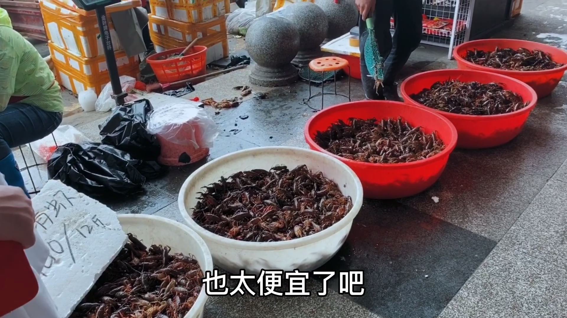成都海鲜批发市场,小龙虾才6块一斤,这价格也太便宜了吧