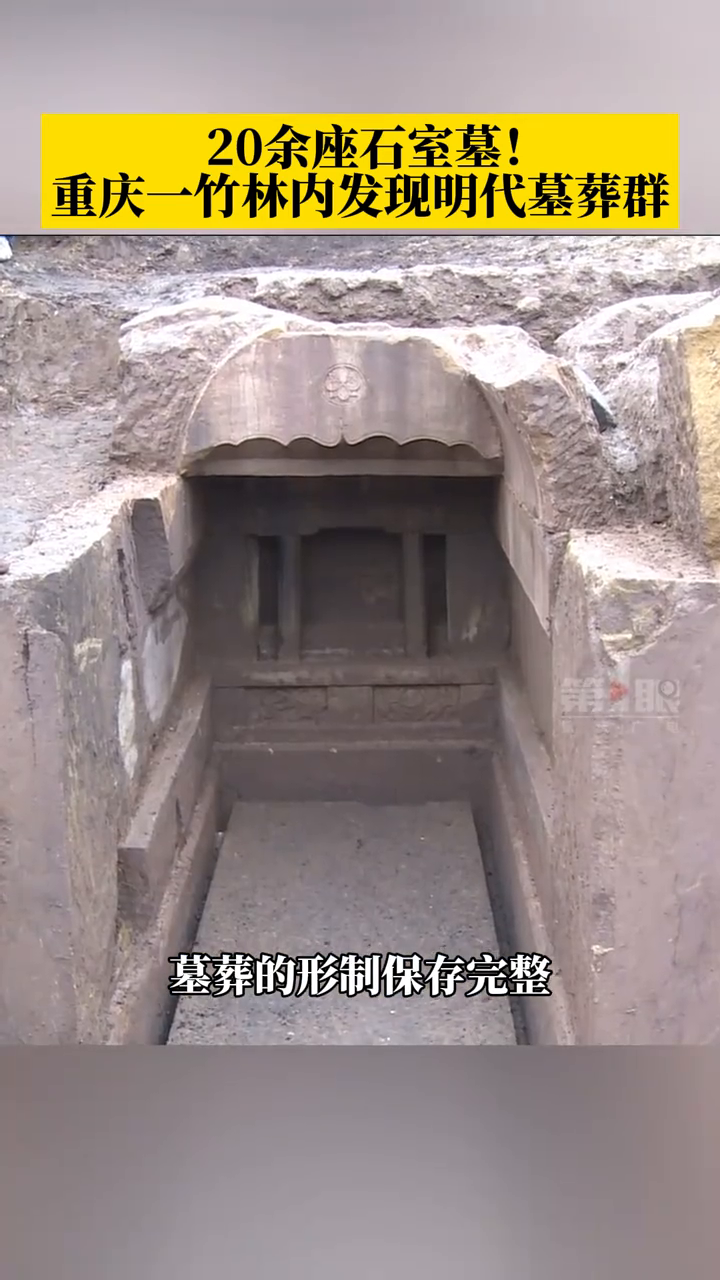 20余座石室墓!重庆一竹林内发现明代墓葬群,面积约有上千平方