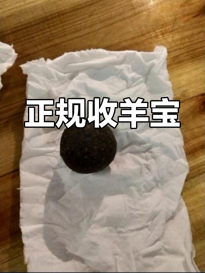 正规医药公司收购羊宝