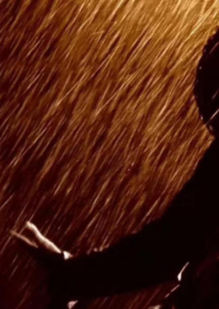 救赎之道,就在其中!