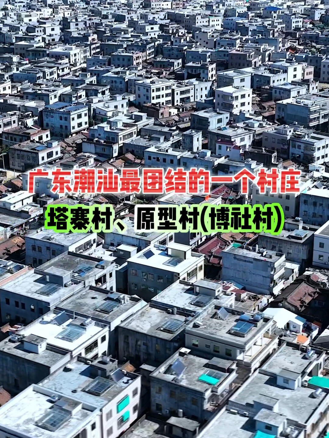 广东制毒村电影图片