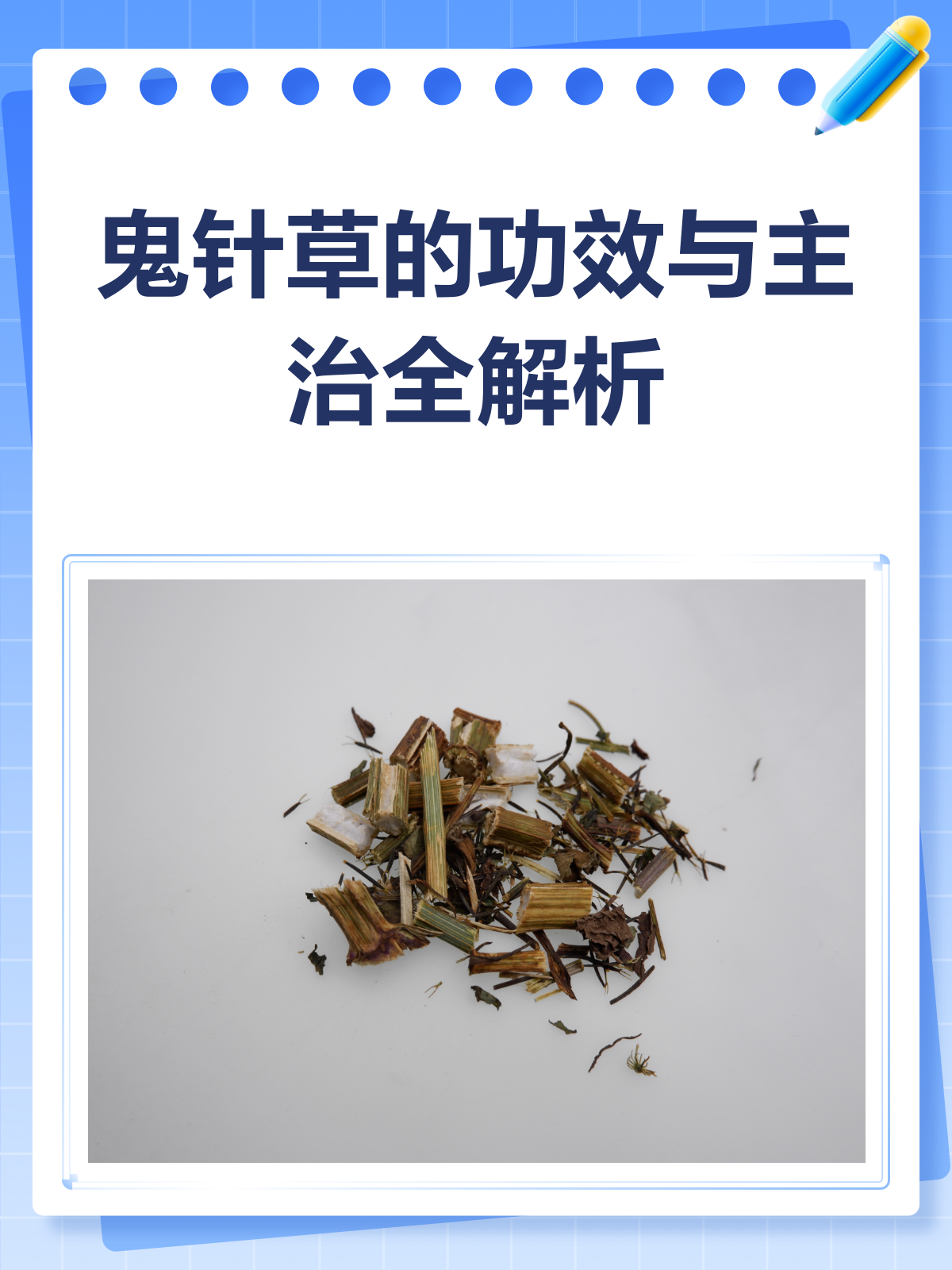 鬼针草:清热祛风还消肿,功效多多知多少?