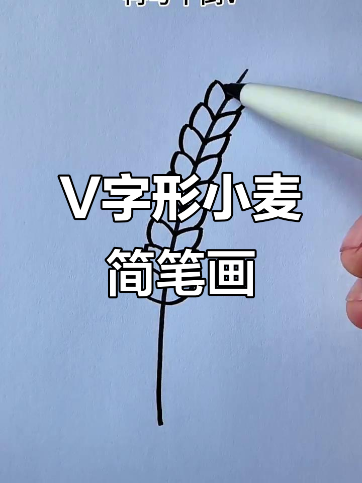 用字母v画小麦,简单又有趣!