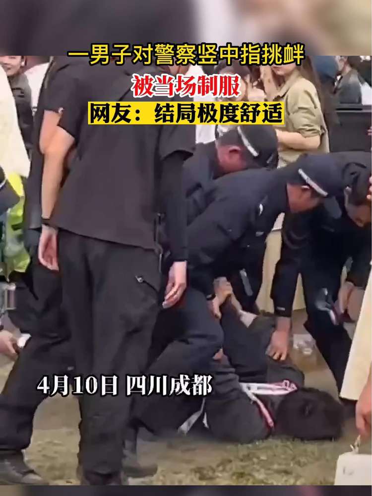 成都草莓音乐节上,一醉酒男子挑衅民警被当场制服