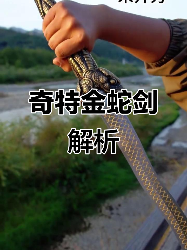 金蛇剑:独特弯曲设计,实战与法术皆可