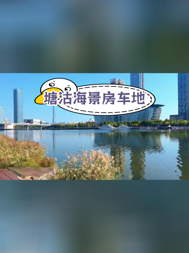 天津塘沽彩带公园:清晨海鸥相伴,美景尽收眼底