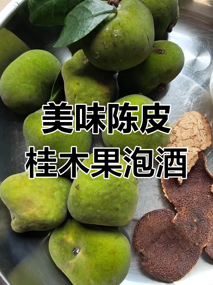 陈皮桂木果泡酒,微酸甘甜让人爱不释口