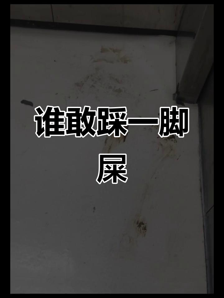 踩屎挑战,谁能做到不笑出声?