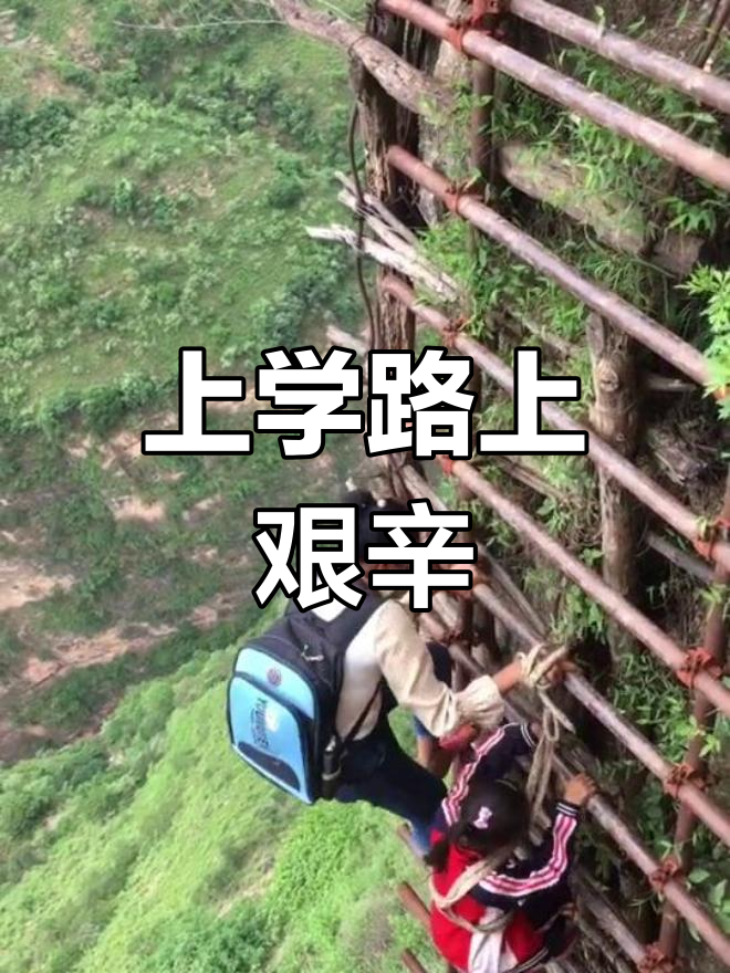 乡村孩子艰难求学路,每一步都让人心碎