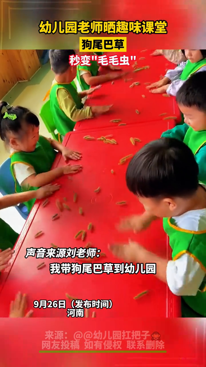 幼儿园老师晒趣味课堂,狗尾巴草秒变毛毛虫&quot