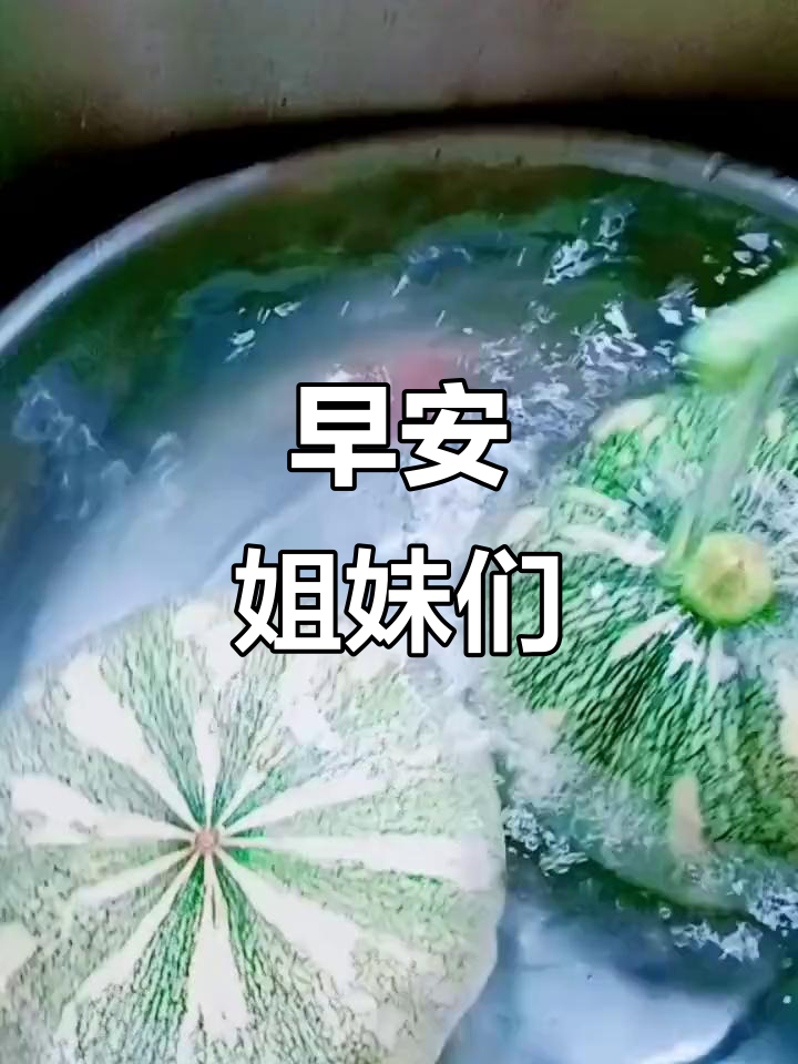 姐妹们,早上好!一起迎接美好的一天