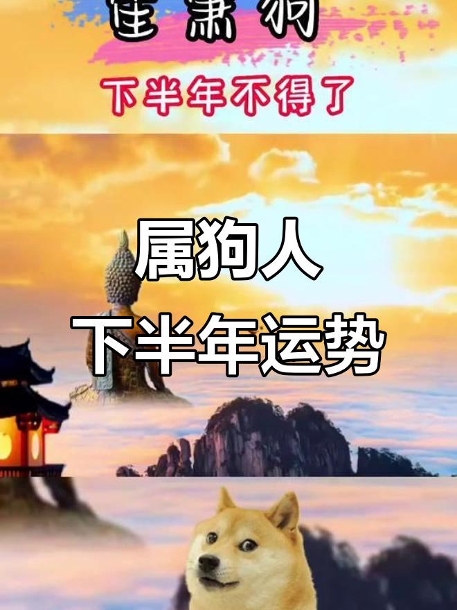 生肖狗下半年婚姻运势(属狗下半年感情运势)
