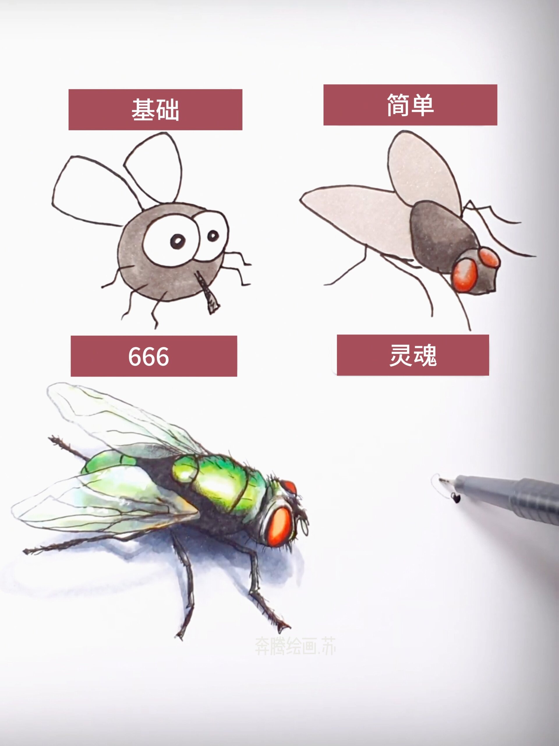 每日绘画63:《苍蝇四连画》