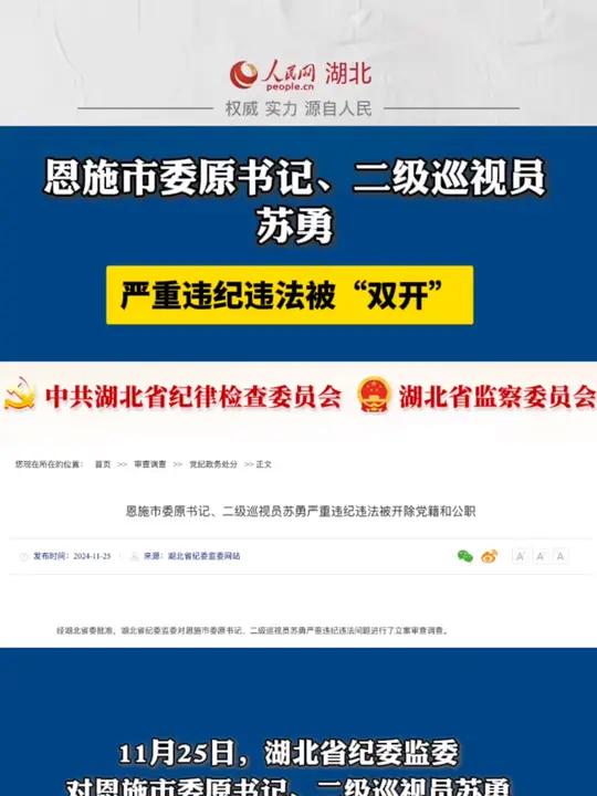 苏勇崇左公示图片