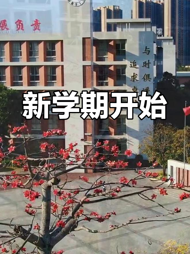 寒假结束了(寒假结束了怎么发朋友圈)  第1张