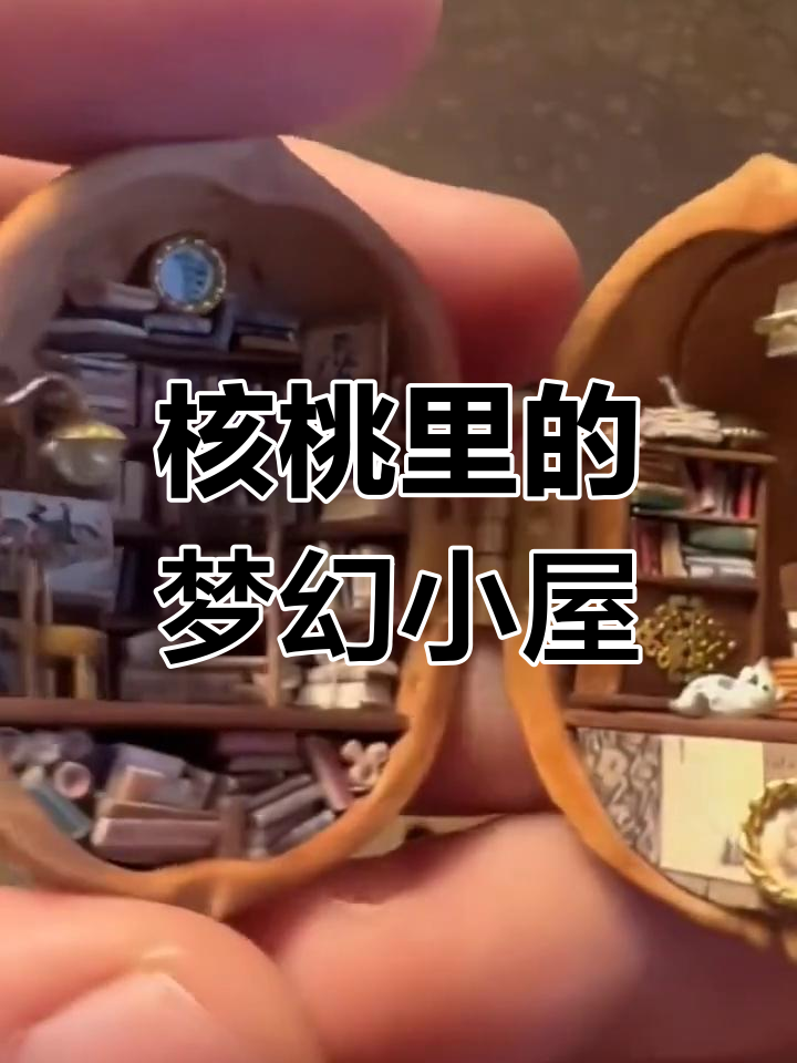 核桃内藏迷你小屋,精致如童话世界
