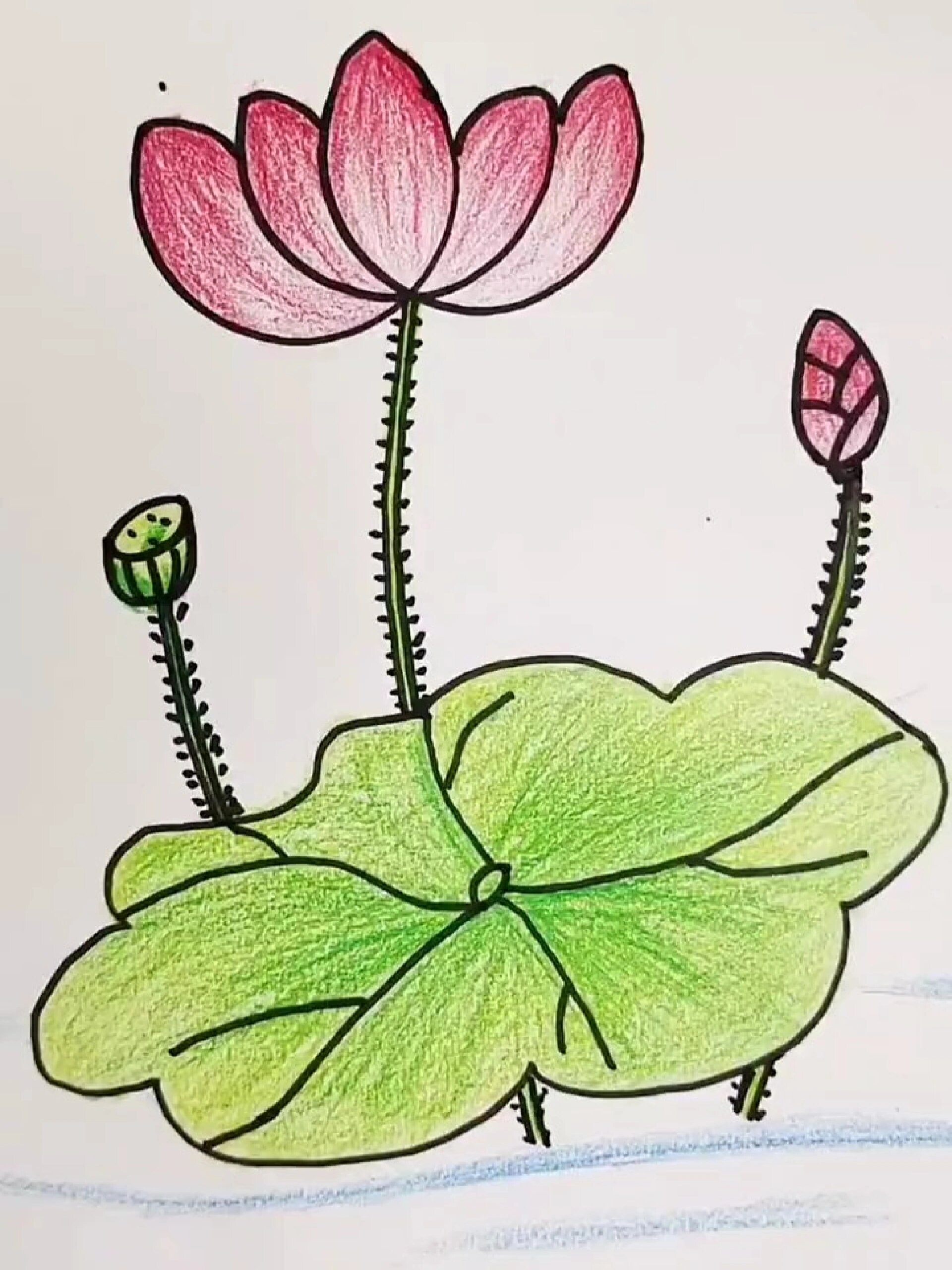 荷花荷叶简笔画