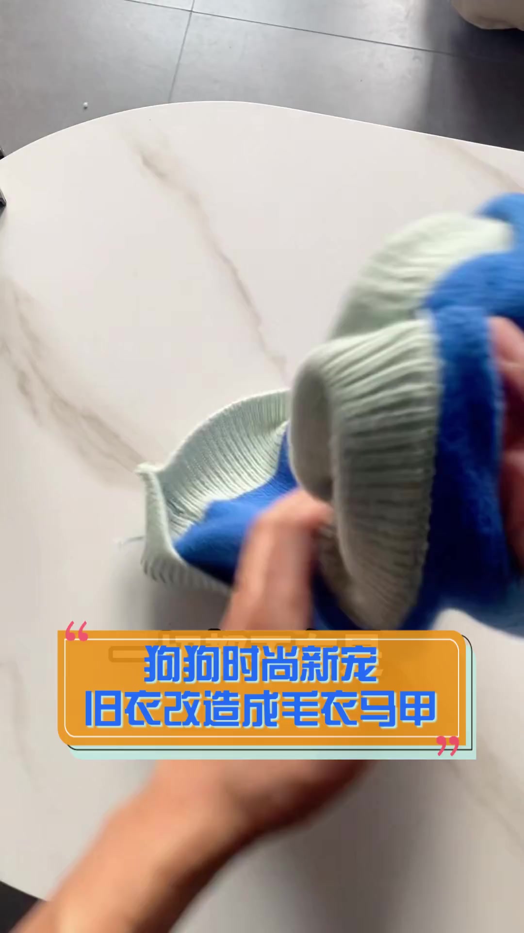 狗狗时尚新宠,旧衣改造成毛衣马甲