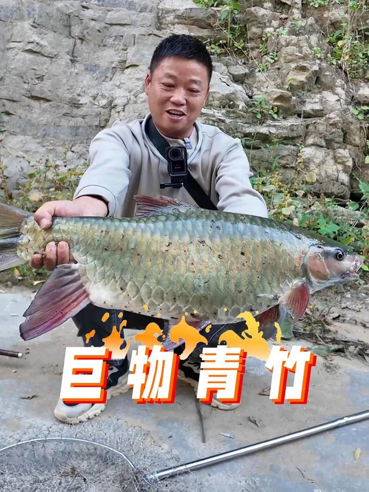 再战青竹鲤!盘车溪流钓