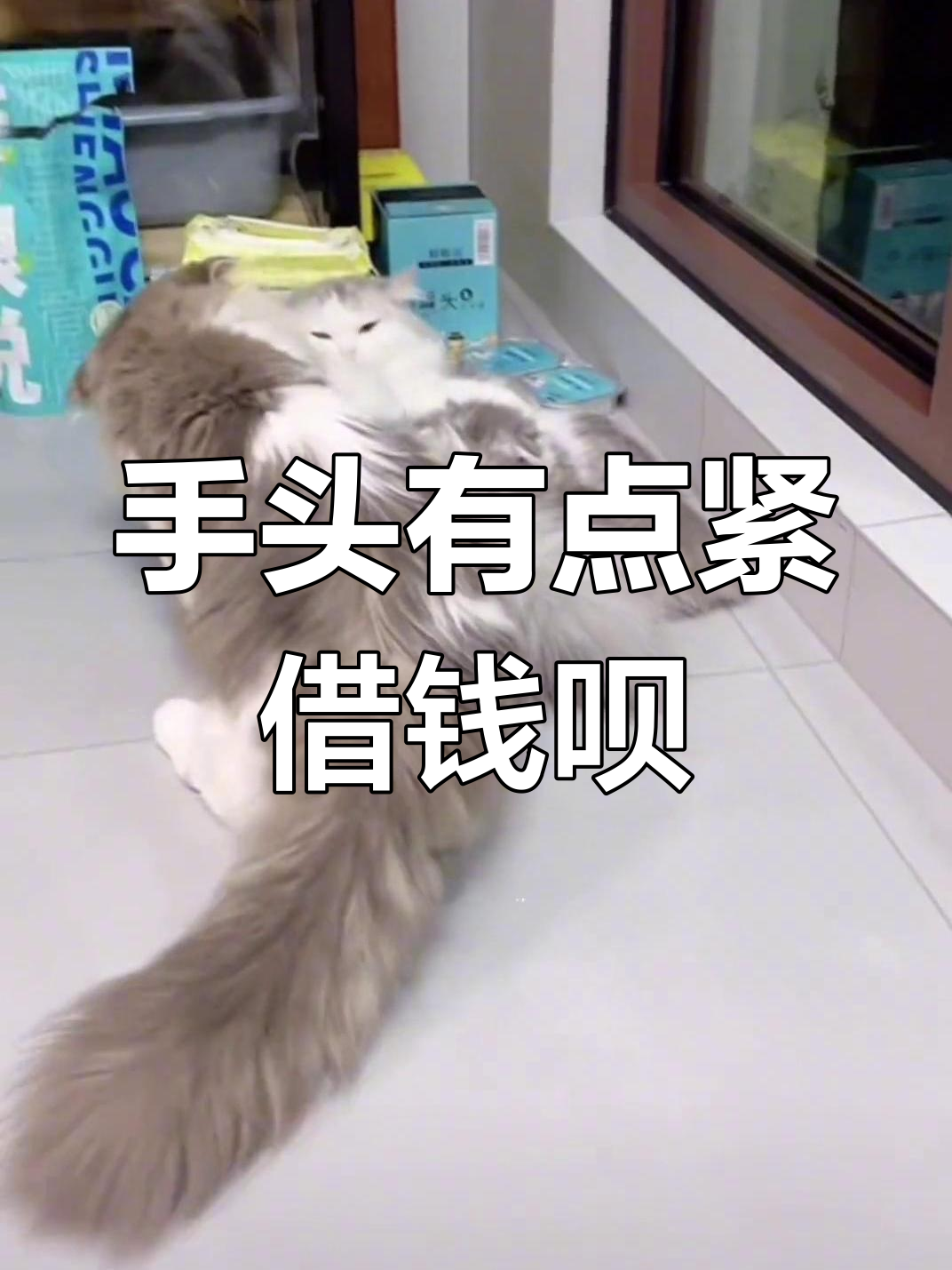 媳妇儿,最近手头紧,能借我点零花钱吗?