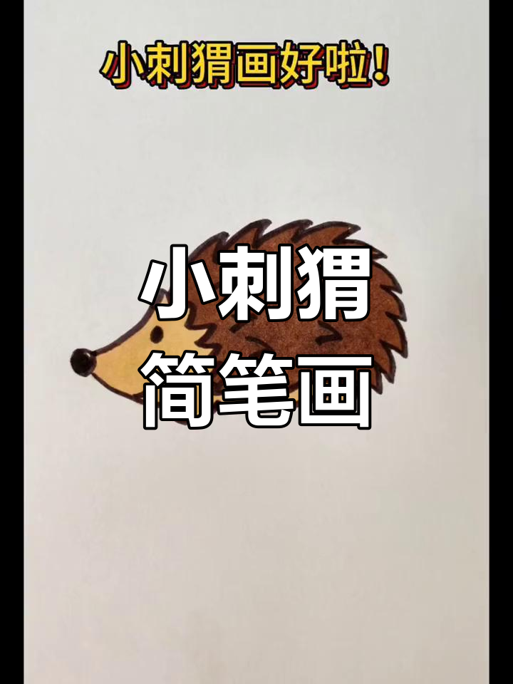 小刺猬的画法步骤图片