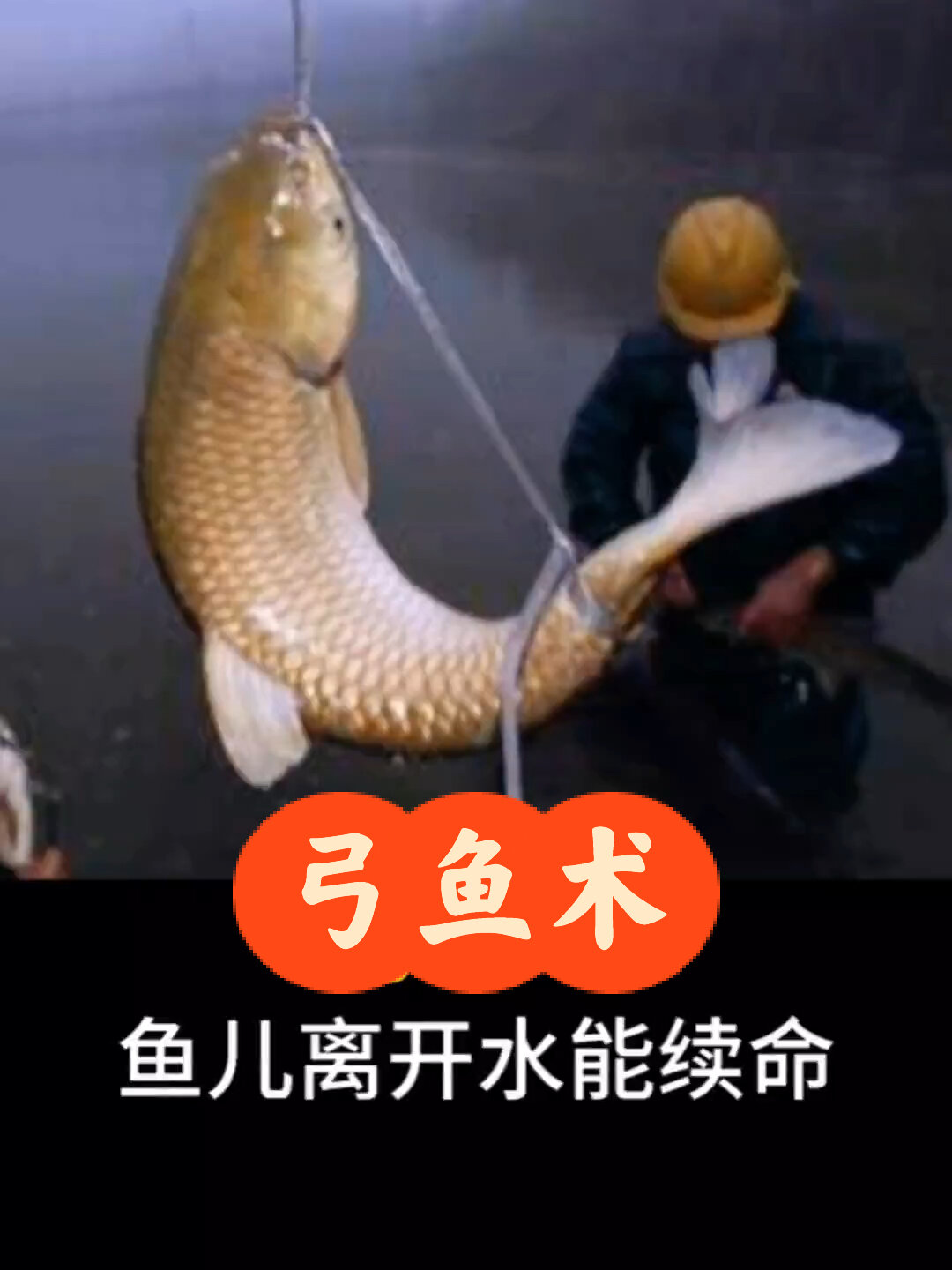 弓鱼术,神奇的古法