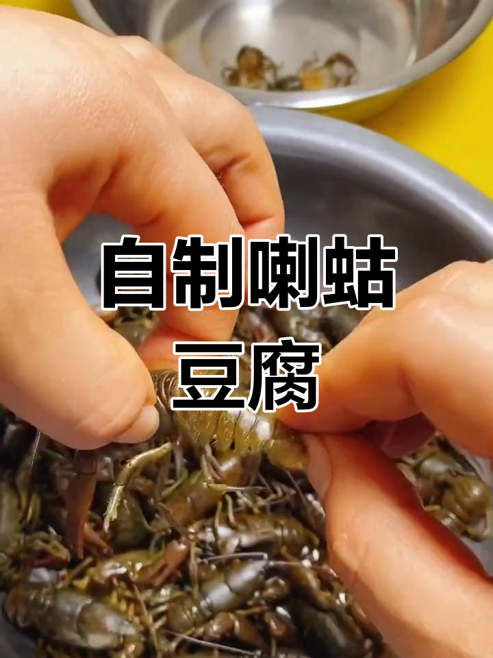 喇蛄豆腐图片图片