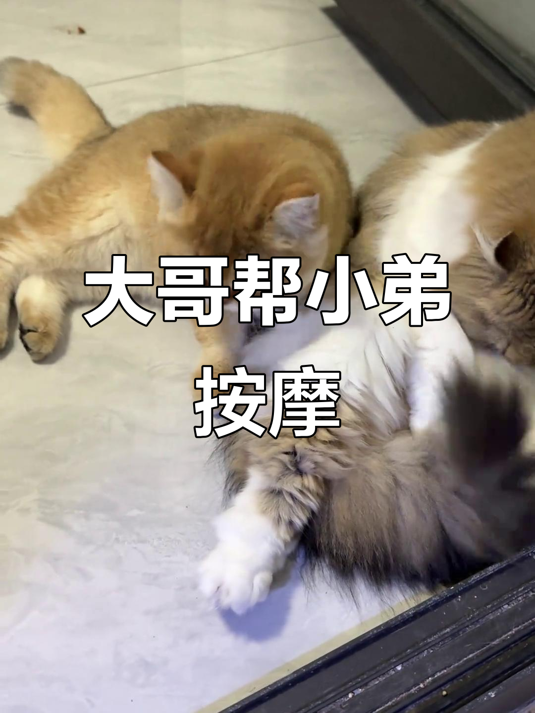 半夜兄弟俩腻歪,大哥给小弟按摩捶腿