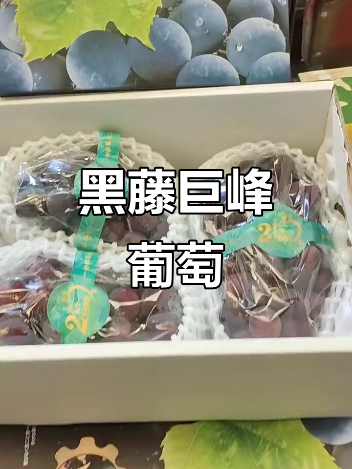 黑藤巨峰葡萄,甜度爆表!大果超赞,皮薄易剥