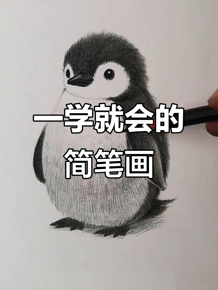 轻松学会素描小企鹅,步骤简单又有趣