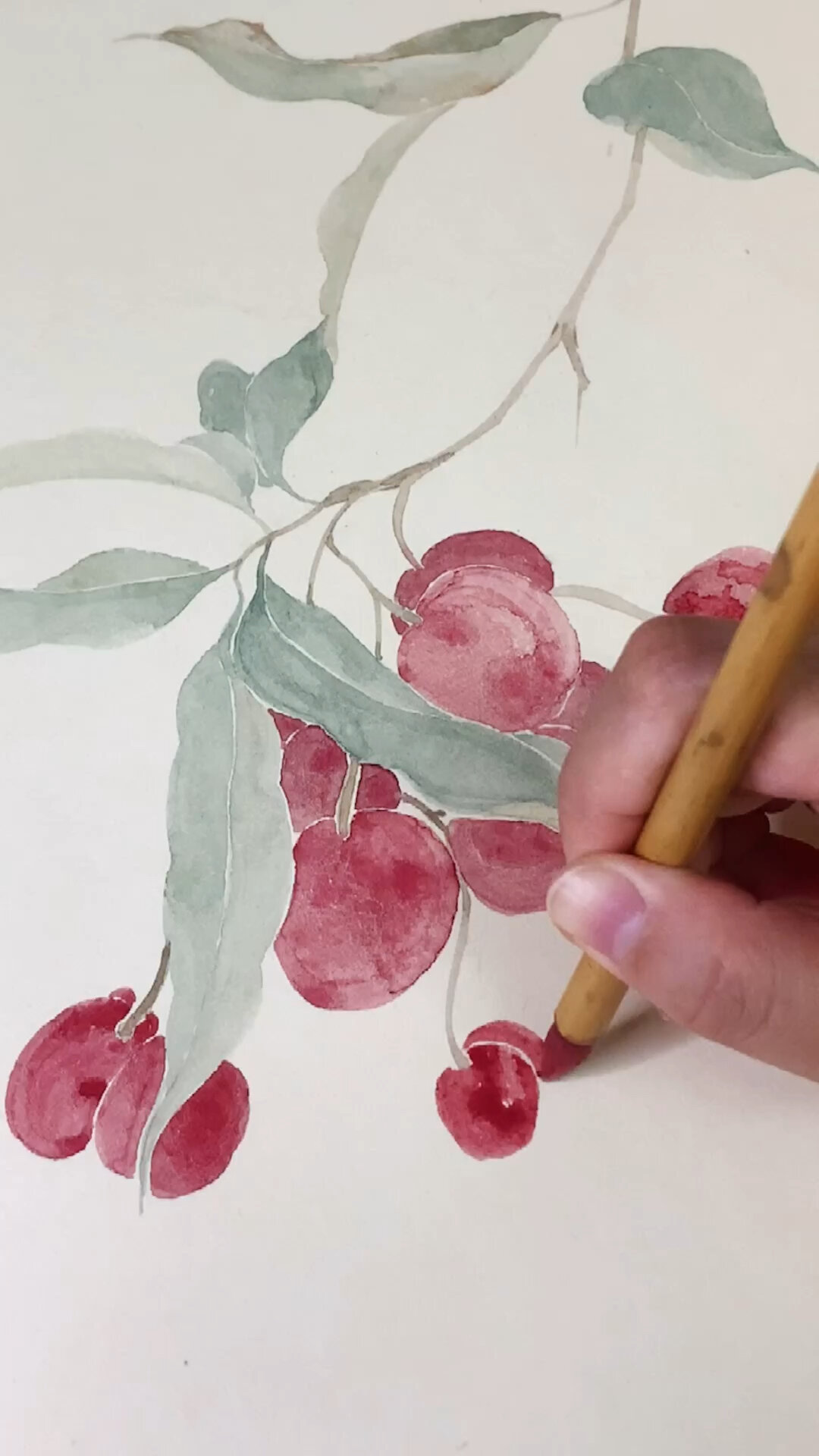 国画:没骨-荔枝(只需三步)