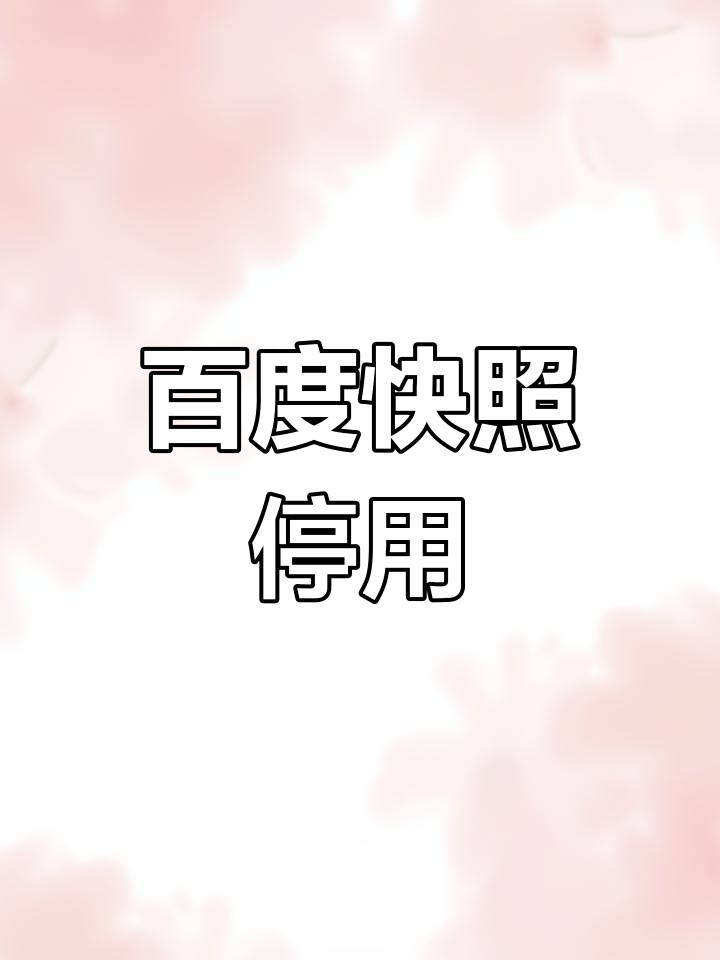 百度快照推广乐云seo=百度快照软件十年乐云seo包成功