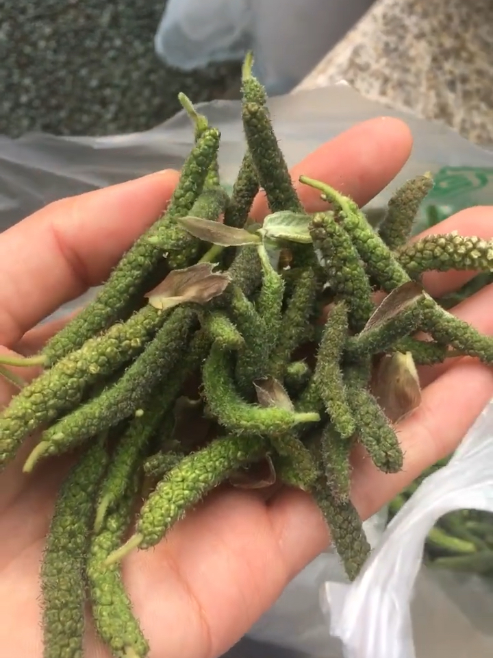 春天难得的野味楮树花,老家叫楮不揪子