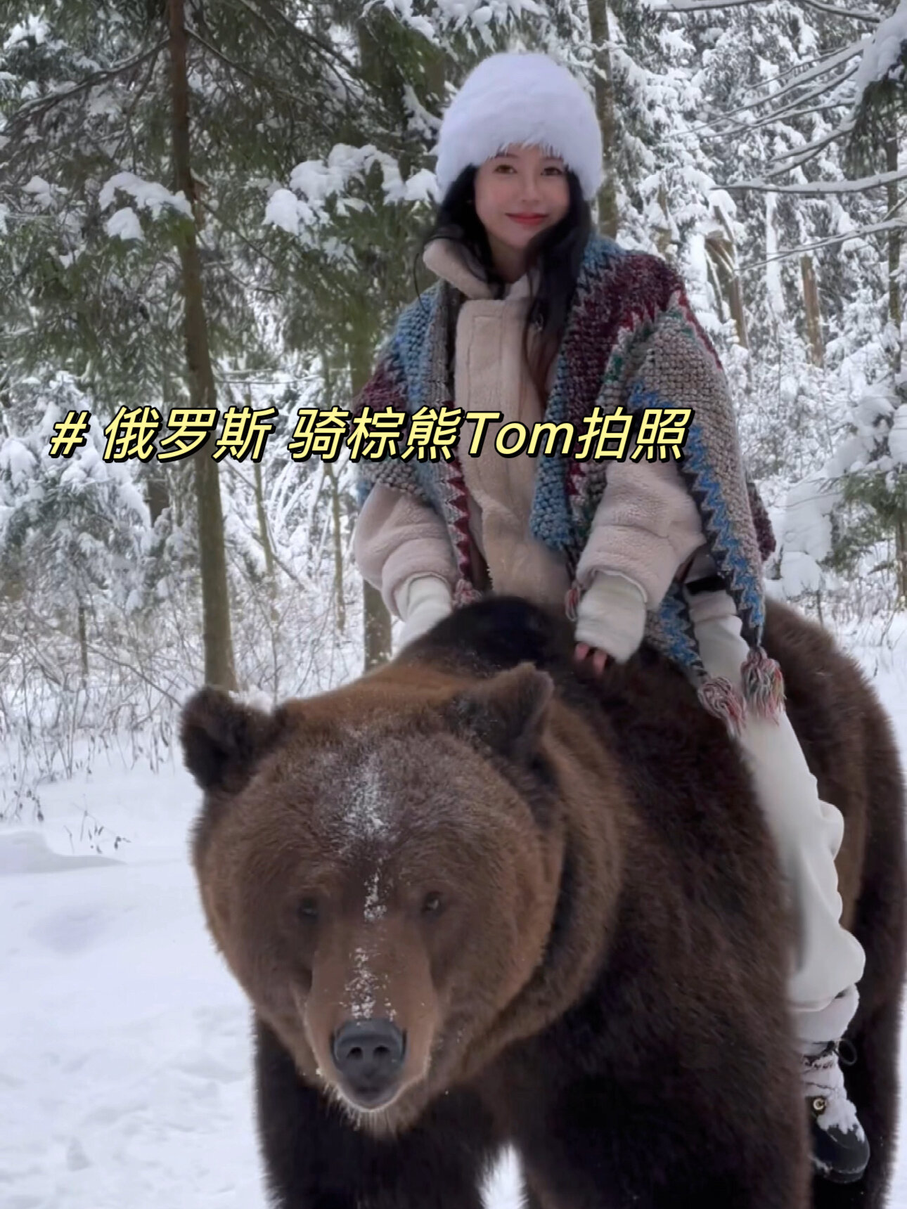 骑俄罗斯棕熊 被熊抱在怀里是什么样的体验!