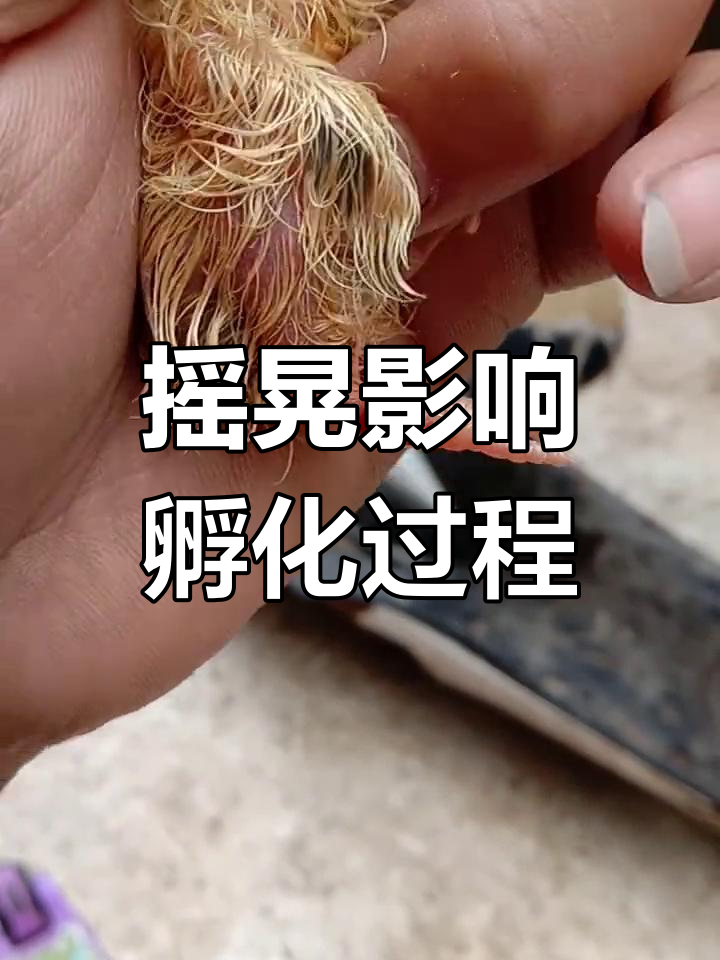 晃动剧烈图片