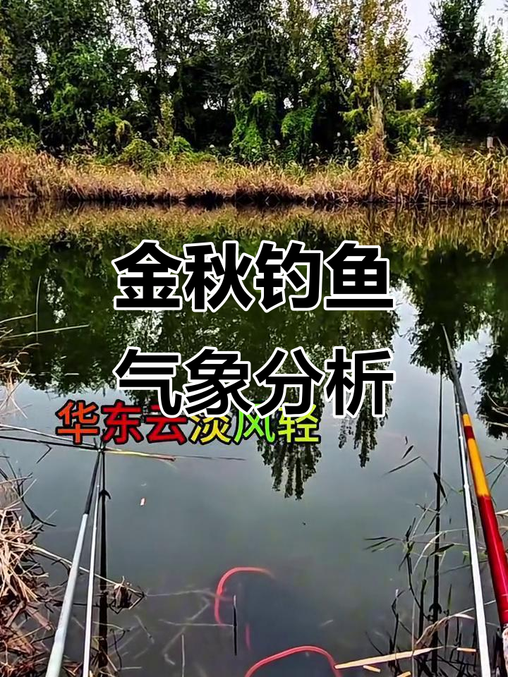 杭州钓鱼天气预报预报 杭州钓鱼天气预报预报