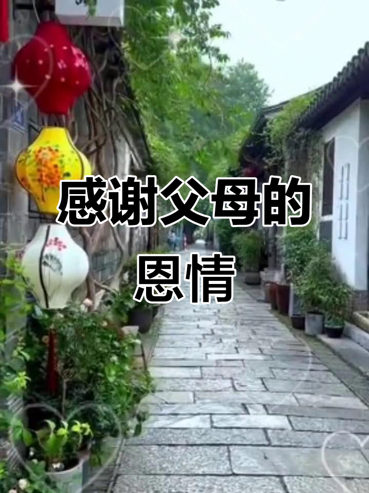 感恩父母,愿你的人生充满爱与光