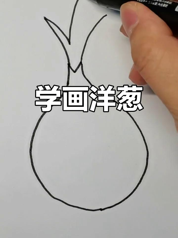 洋葱简笔画教程,轻松学画