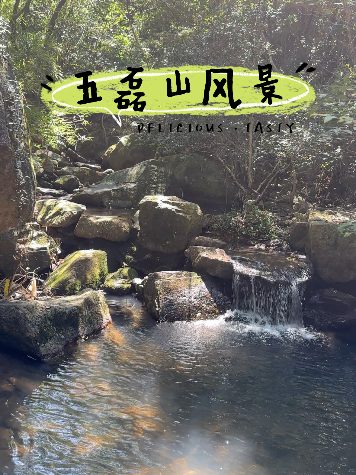 慈溪还有这么舒服的aaa风景区