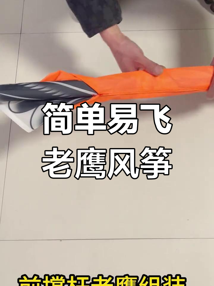 老鹰风筝组装全攻略,轻松学会放飞技巧