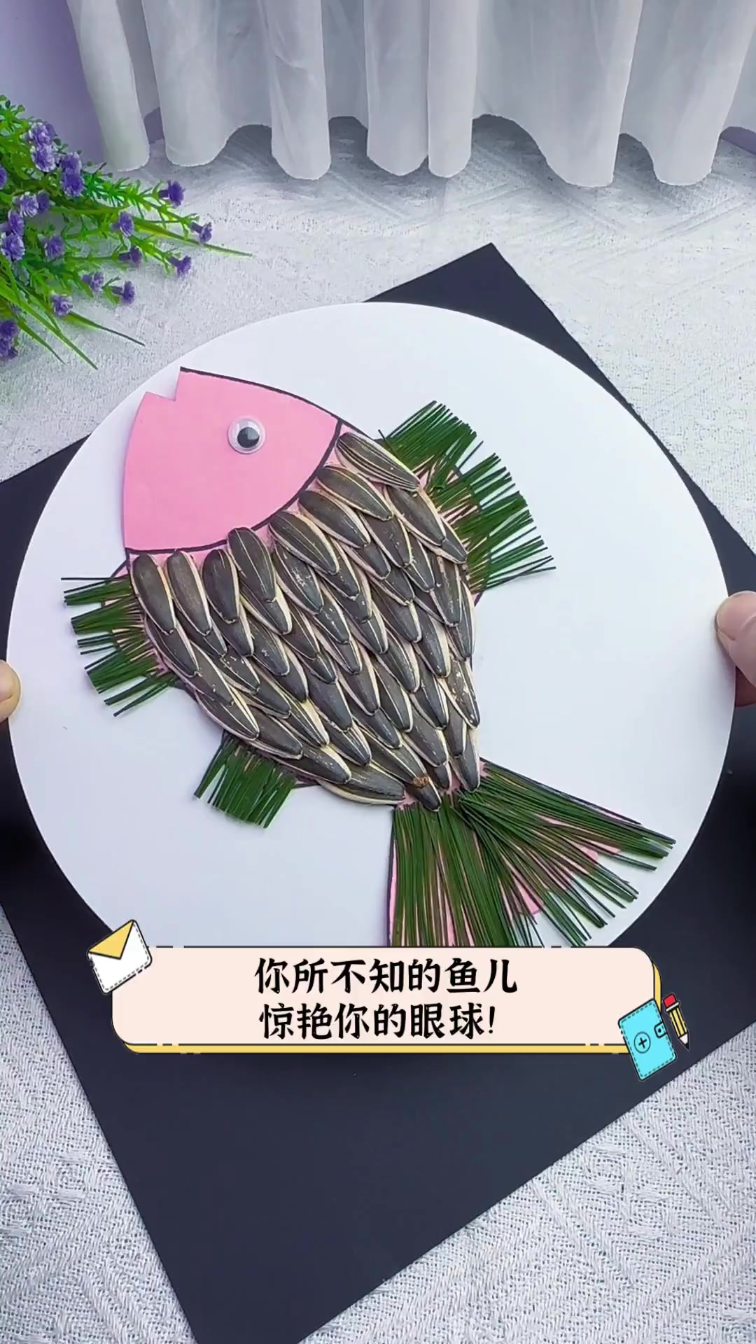 你所不知的鱼儿,惊艳你的眼球!